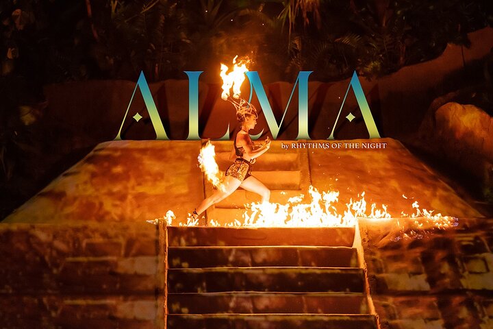Puerto Vallarta Rhythms of the Night: Gourmet Dinner & Alma Show