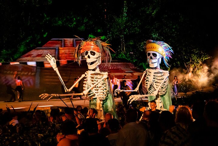 Puerto Vallarta Rhythms of the Night: Gourmet Dinner & Alma Show