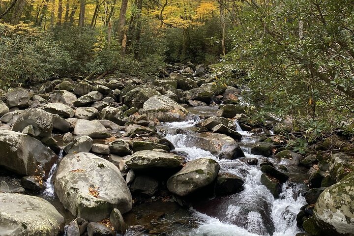 The "Classic" National Park Tour