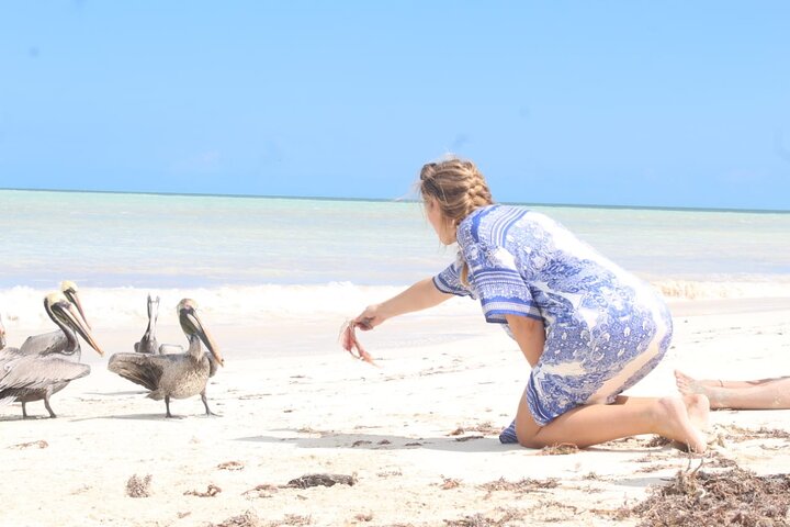 Boat Tour of Three Islands in Holbox with Transportation