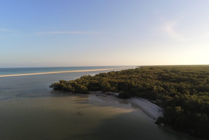 Kayak Experience in the Mangroves of Holbox Island