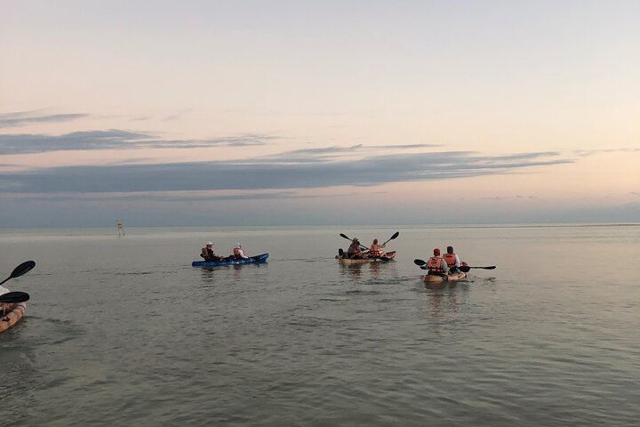 Kayak Experience in the Mangroves of Holbox Island