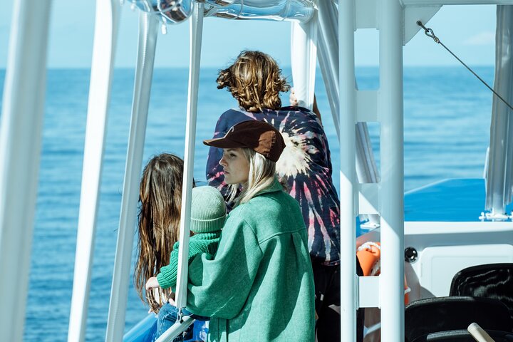 Gold Coast Whale Watching Cruise