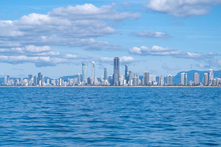 Gold Coast Whale Watching Cruise