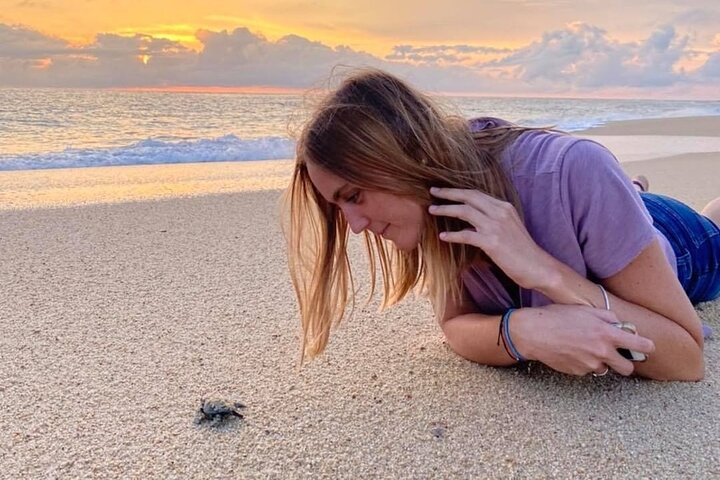 Los Cabos Sunset Turtle Release Conservation Experience