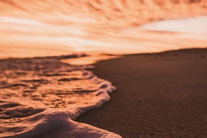 Los Cabos Sunset Turtle Release Conservation Experience