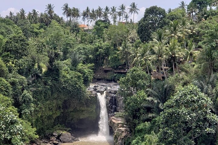 Best Bali Ubud Full Day All-Inclusive Private Tour