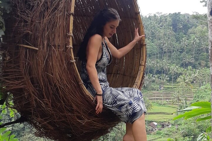 Best Bali Ubud Full Day All-Inclusive Private Tour
