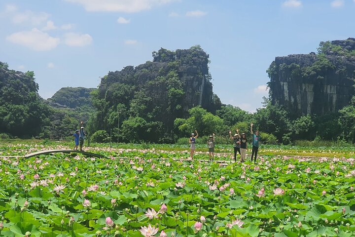 Full-Day Ninh Binh Highlights Tour from Hanoi