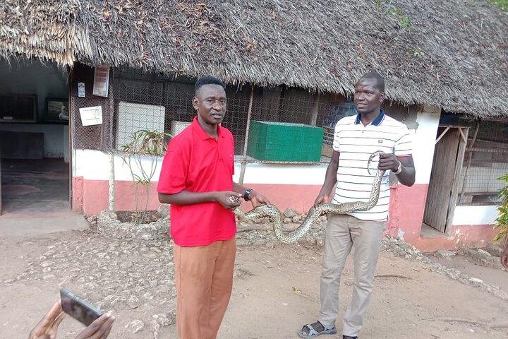 Malindi Explorer: City Tour & Mambrui Sand Dunes Adventure