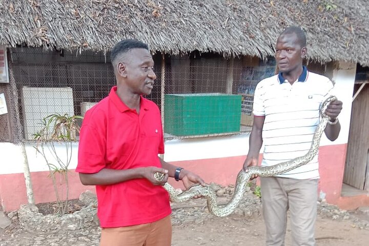 Malindi Explorer: City Tour & Mambrui Sand Dunes Adventure