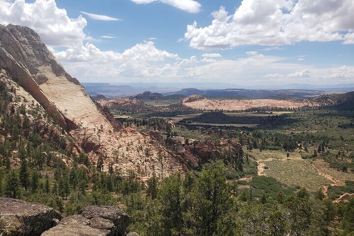 Zion National Park/Kolob Terrace Private 1/2 Day Sightseeing Tour