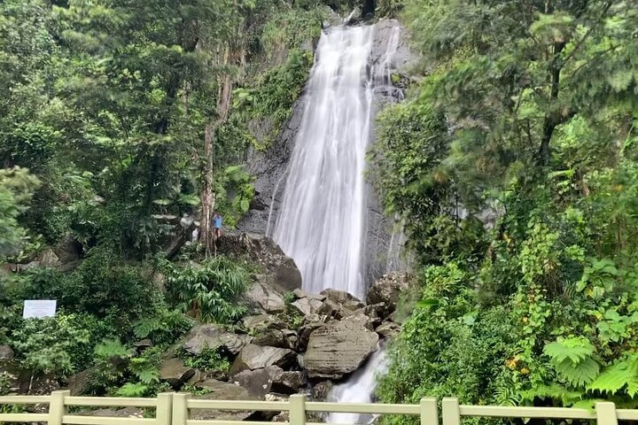 El Yunque National Forest and Luquillo Beach Tour