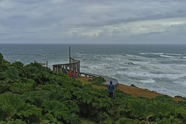 Private Activity Hiking, Time Wharf - Tricolor.