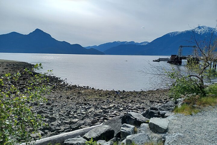 Whistler Sightseeing Tour from Vancouver: See Horseshoe Bay and Shannon Falls