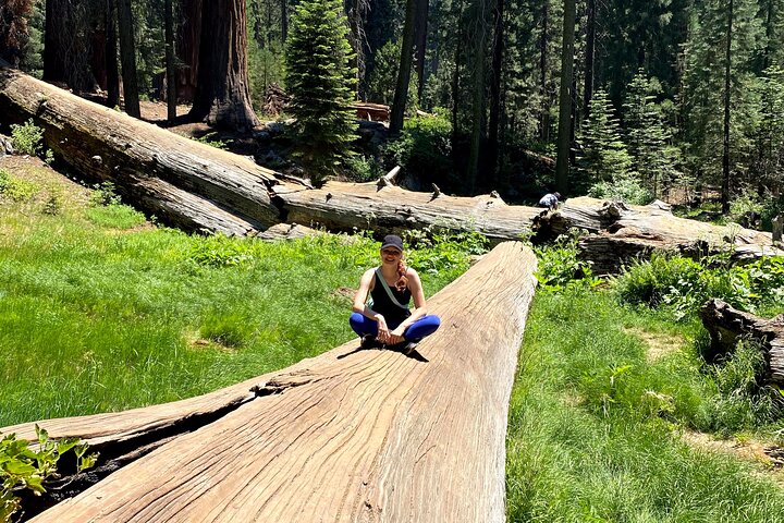Semi Private Tour to Sequoia National Park with Lunch