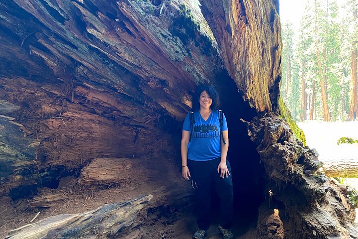 Semi Private Tour to Sequoia National Park with Lunch