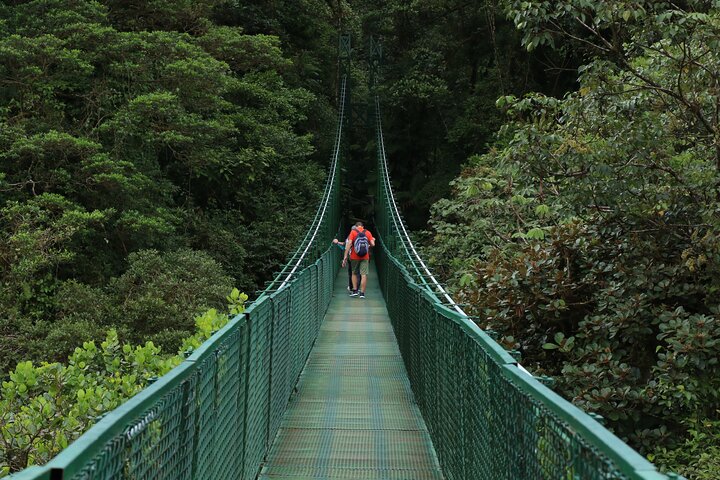 Zipline and Hanging Bridges Combo Tour in Monteverde Cloud Forest