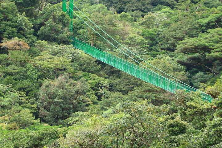 Zipline and Hanging Bridges Combo Tour in Monteverde Cloud Forest