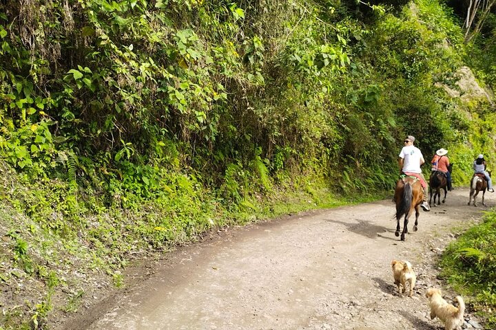 Private Half-DAY Tour Combeima Canyon Hike