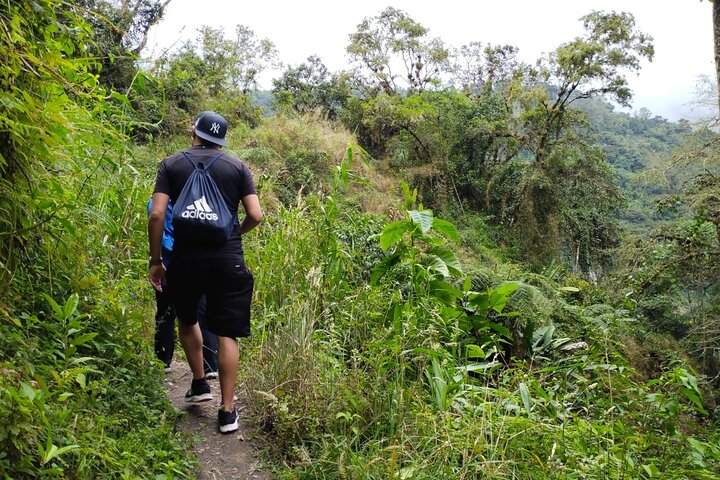 Private Half-DAY Tour Combeima Canyon Hike