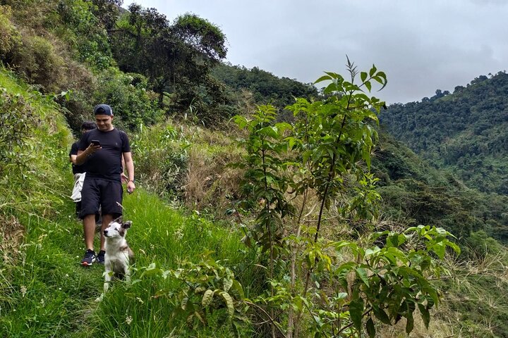 Private Half-DAY Tour Combeima Canyon Hike