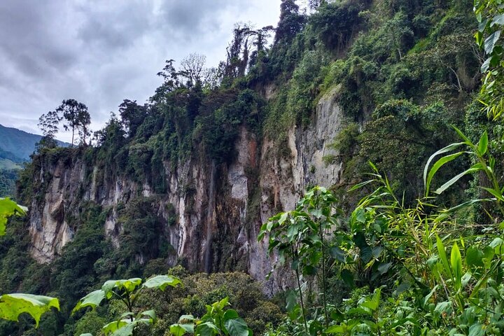 Private Half-DAY Tour Combeima Canyon Hike
