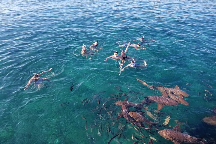 Exclusive All-in-1 Full Day Shared Guided Tour