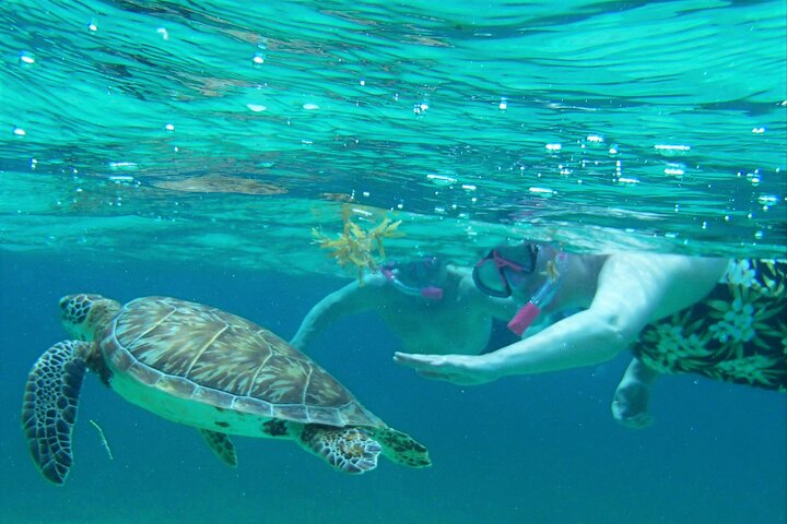Exclusive All-in-1 Full Day Shared Guided Tour