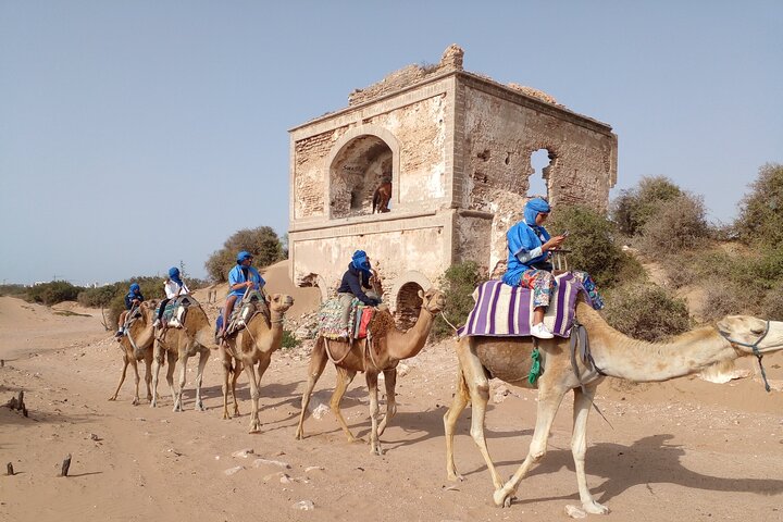 Essaouira Camel Ride, Quad Bike & Buggy Adventure