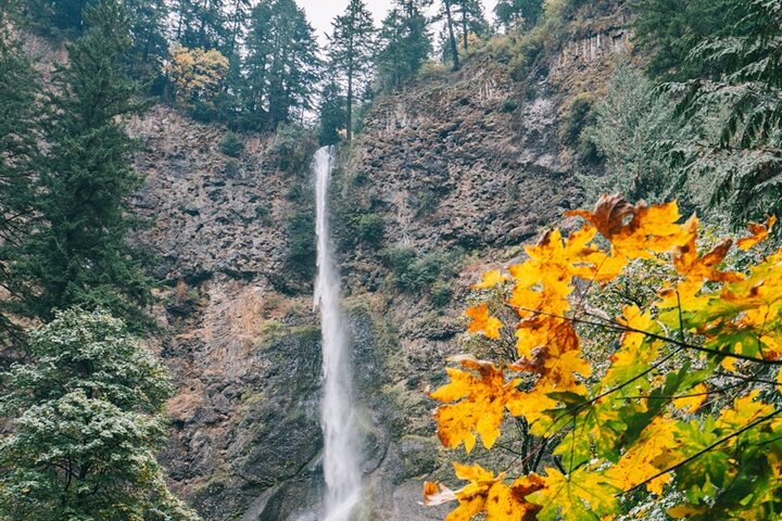 Multnomah Falls and Columbia River Gorge Waterfalls Tour Morning