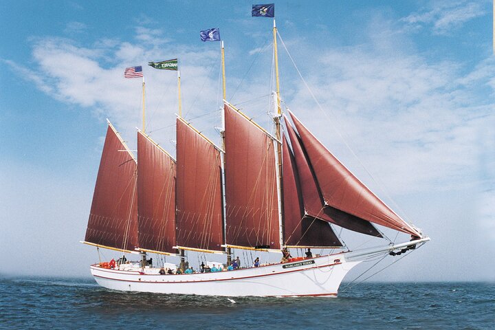 1.5 to 2-Hr Windjammer Sailing Trip in Maine w/ Licensed Captain