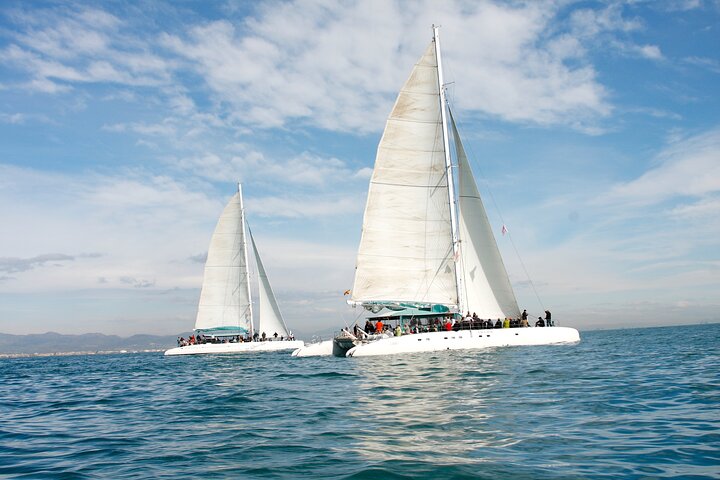 A day at sea from Dénia or Jávea with Barbecue aboard the Catamaran