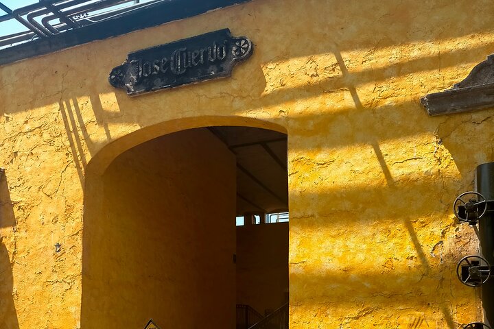 José Cuervo Tequila Tour & Agave Fields from Guadalajara