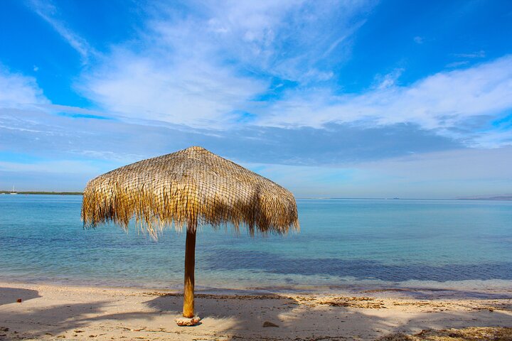 Playa Balandra Beach with La Paz Guided Tour! La Paz Round Trip