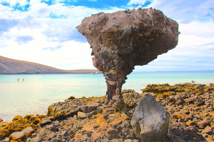 Playa Balandra Beach with La Paz Guided Tour! La Paz Round Trip