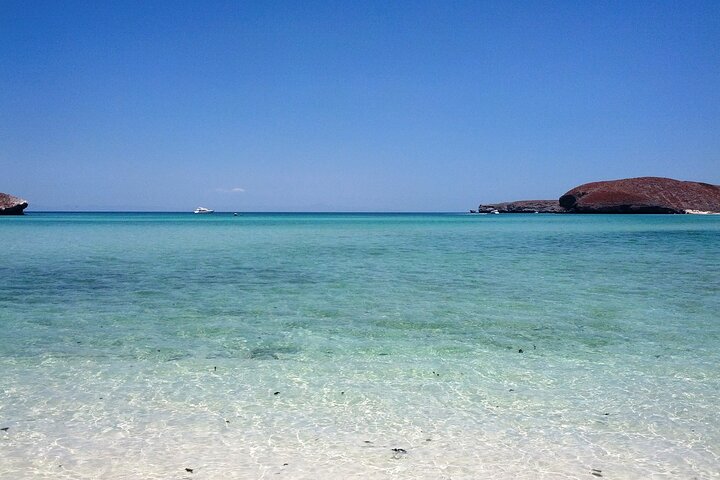 Playa Balandra Beach with La Paz Guided Tour! La Paz Round Trip