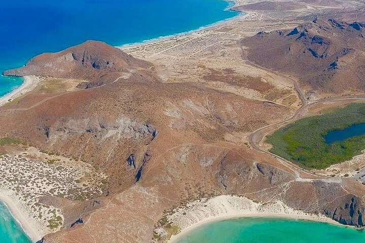 Playa Balandra Beach with La Paz Guided Tour! La Paz Round Trip