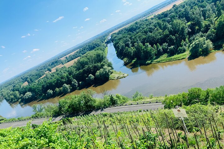 Private Bohemia Wine Tour from Prague with Gourmet Tastings
