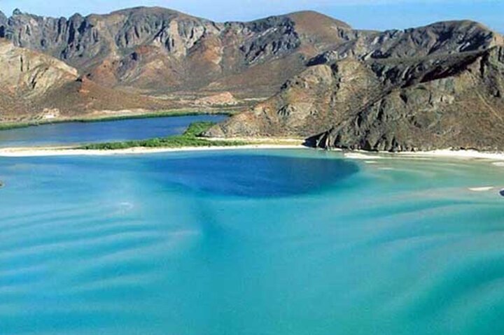 Playa Balandra Beach with La Paz Guided Tour! La Paz Round Trip