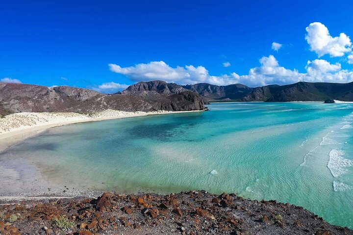 Playa Balandra Beach with La Paz Guided Tour! La Paz Round Trip