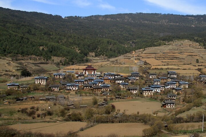 Scenic Bhutan Guided Multi-Day Tour with Airport Pickup