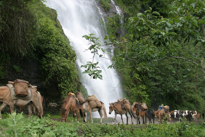 Scenic Bhutan Guided Multi-Day Tour with Airport Pickup