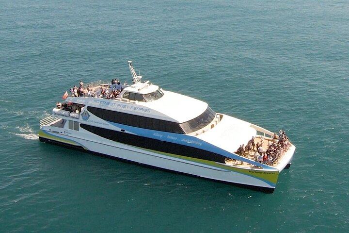 2 hour whale watching experience departing Hillarys Boat Harbour