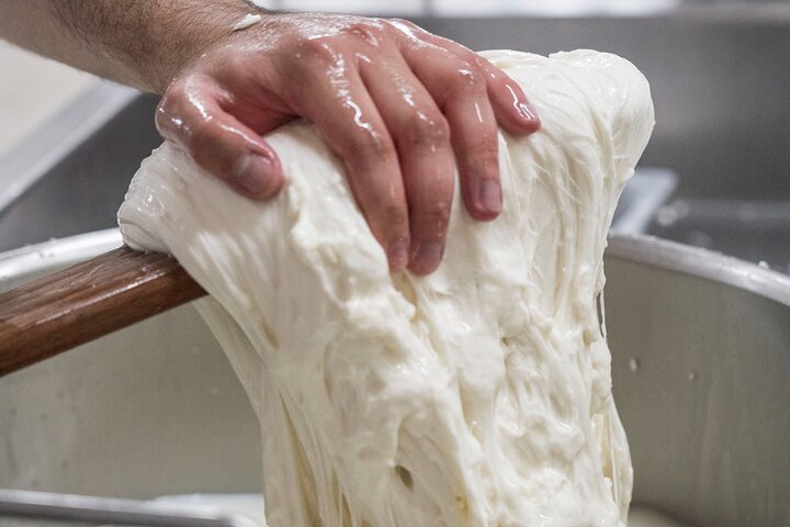Masseria Seppunisi Tour - Mozzarella and Burrata experience