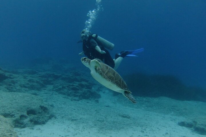 SCUBA DIVING first time experience