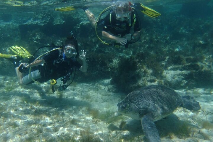 SCUBA DIVING first time experience