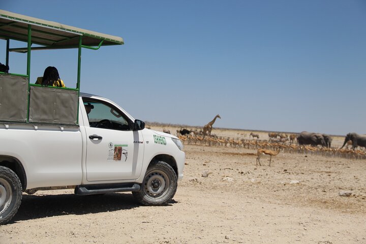 Safari in Etosha national park with professional tour guides born in Etosha.