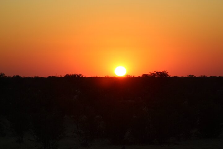 Safari in Etosha national park with professional tour guides born in Etosha.