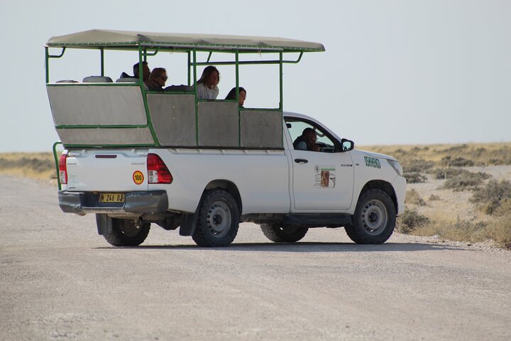 Safari in Etosha national park with professional tour guides born in Etosha.